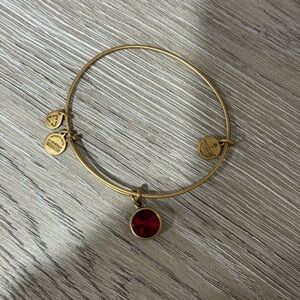 Alex and Ani January birthstone bracelet
